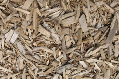 biomass boilers Dalreavoch